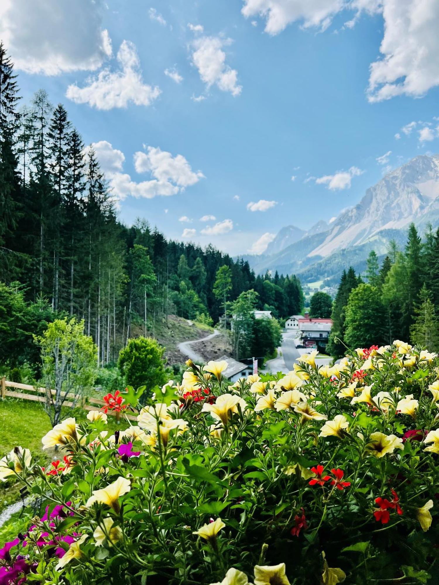 Hotel Chalet Annelies Ramsau am Dachstein Zewnętrze zdjęcie